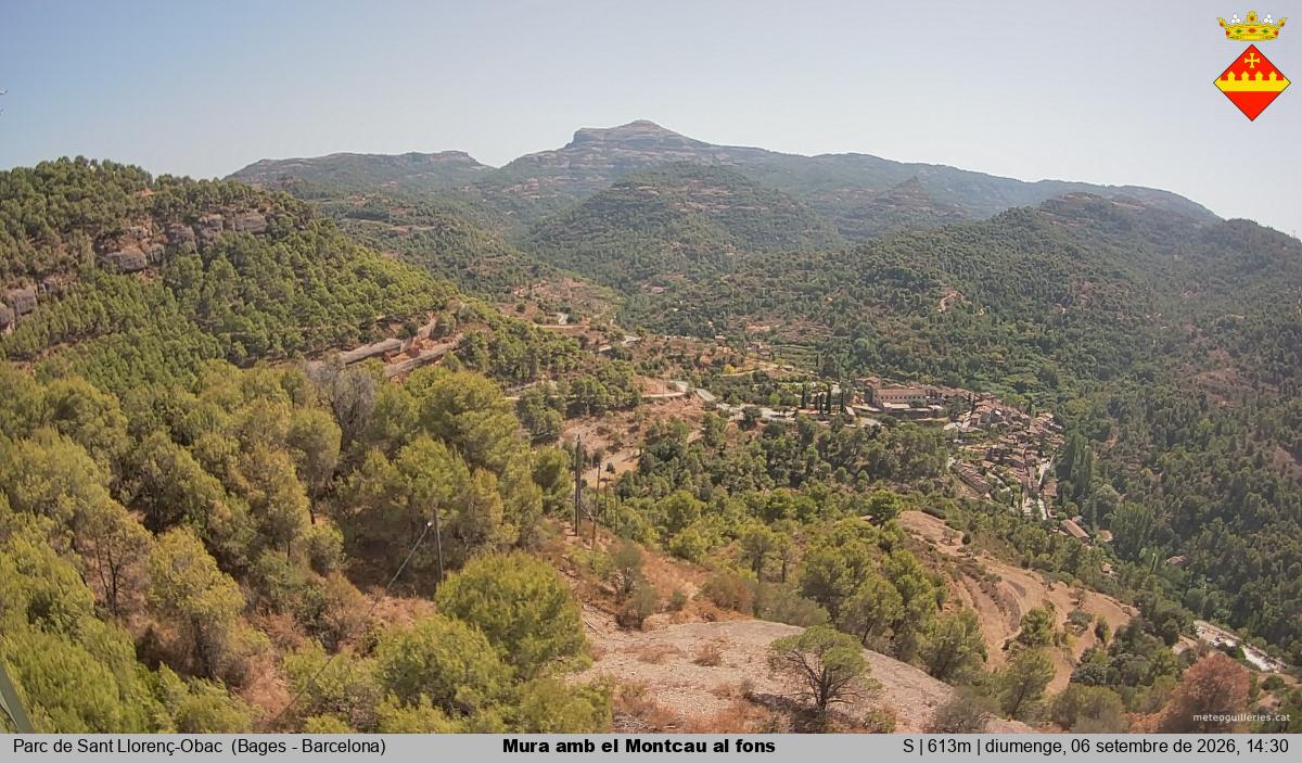 Mura amb el Montcau al fons