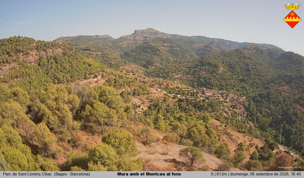 Mura amb el Montcau al fons