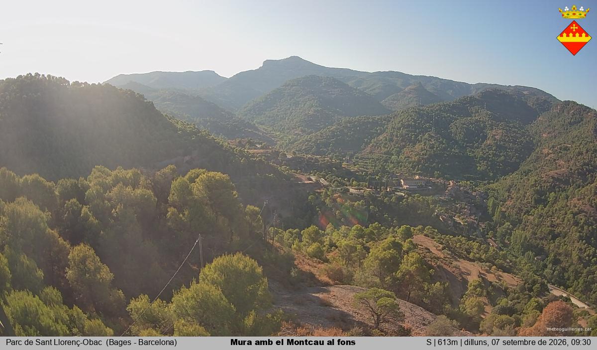 Mura amb el Montcau al fons