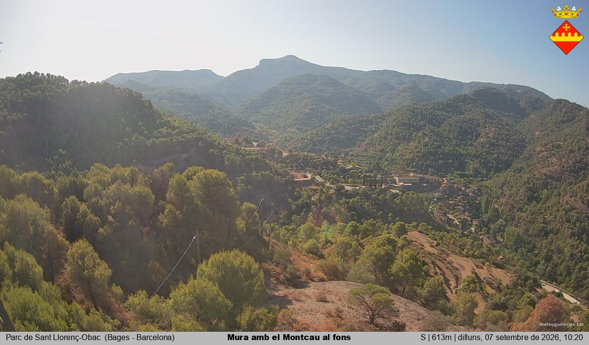 Mura amb el Montcau al fons
