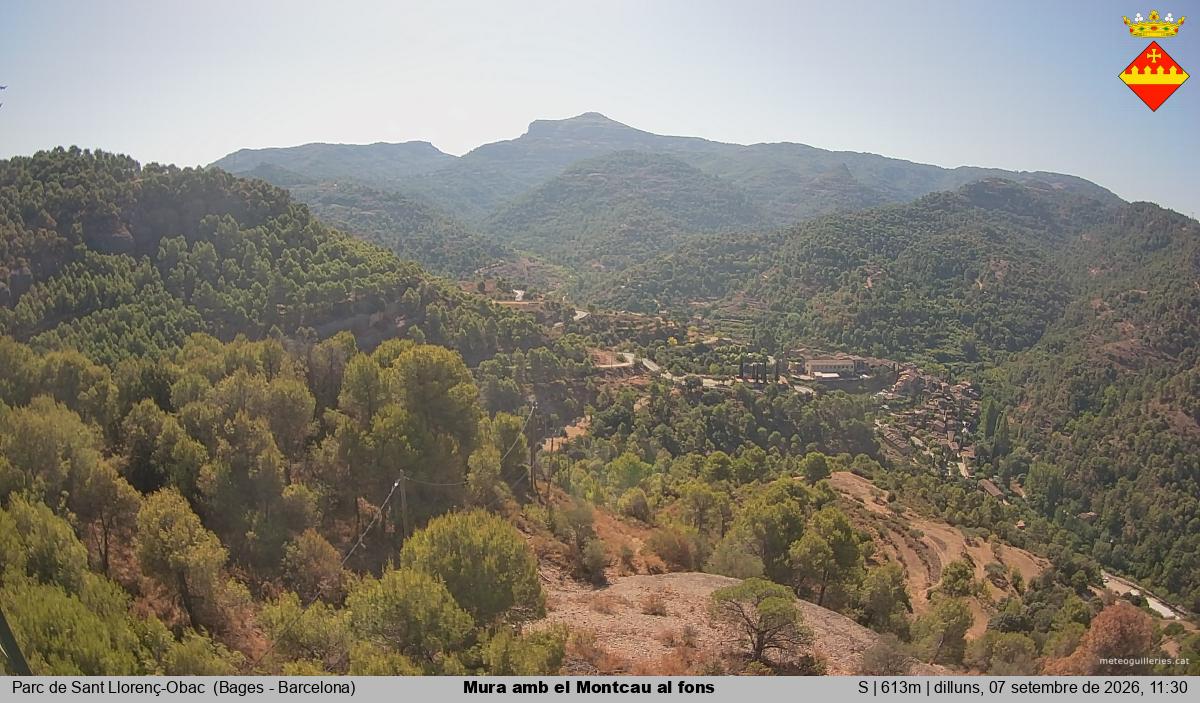Mura amb el Montcau al fons