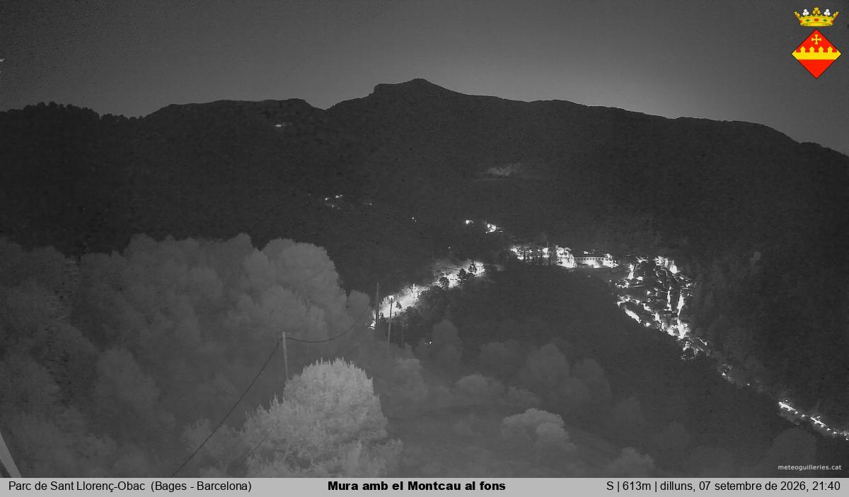 Mura amb el Montcau al fons