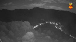 Webcams