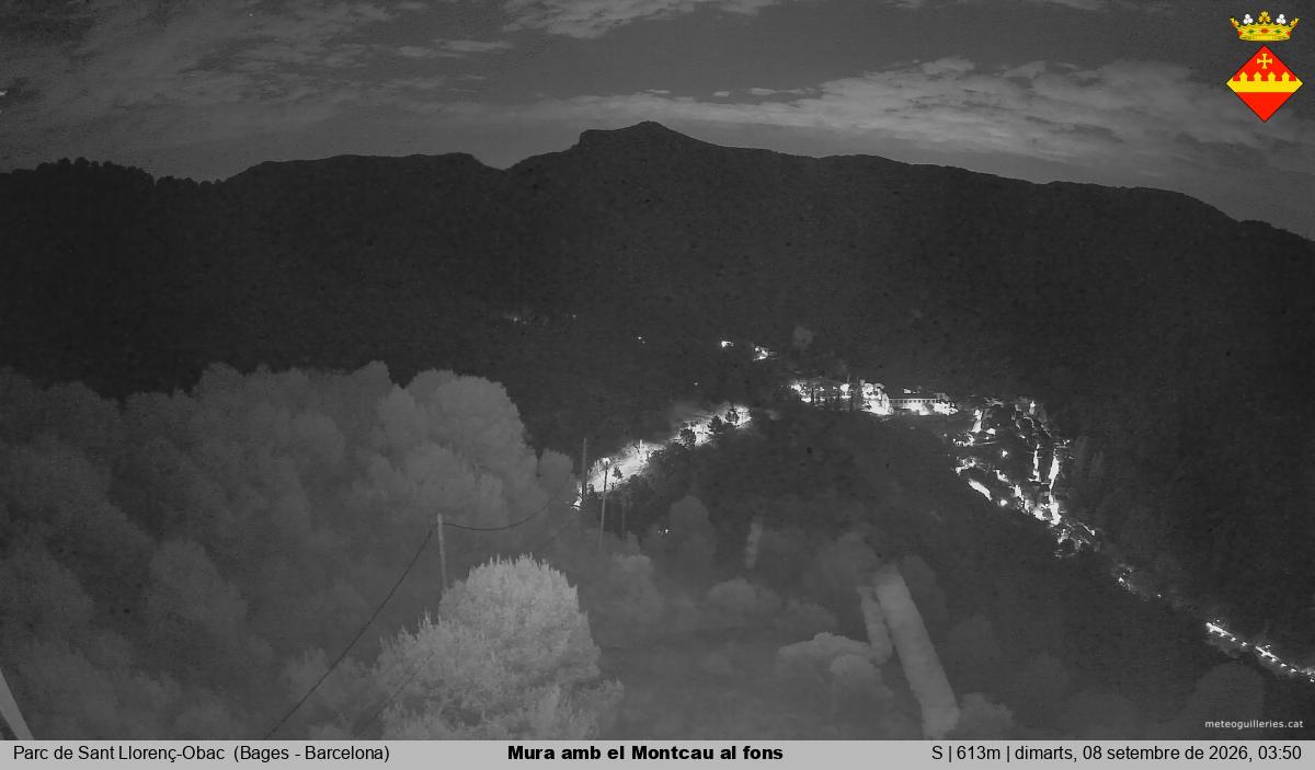 Mura amb el Montcau al fons