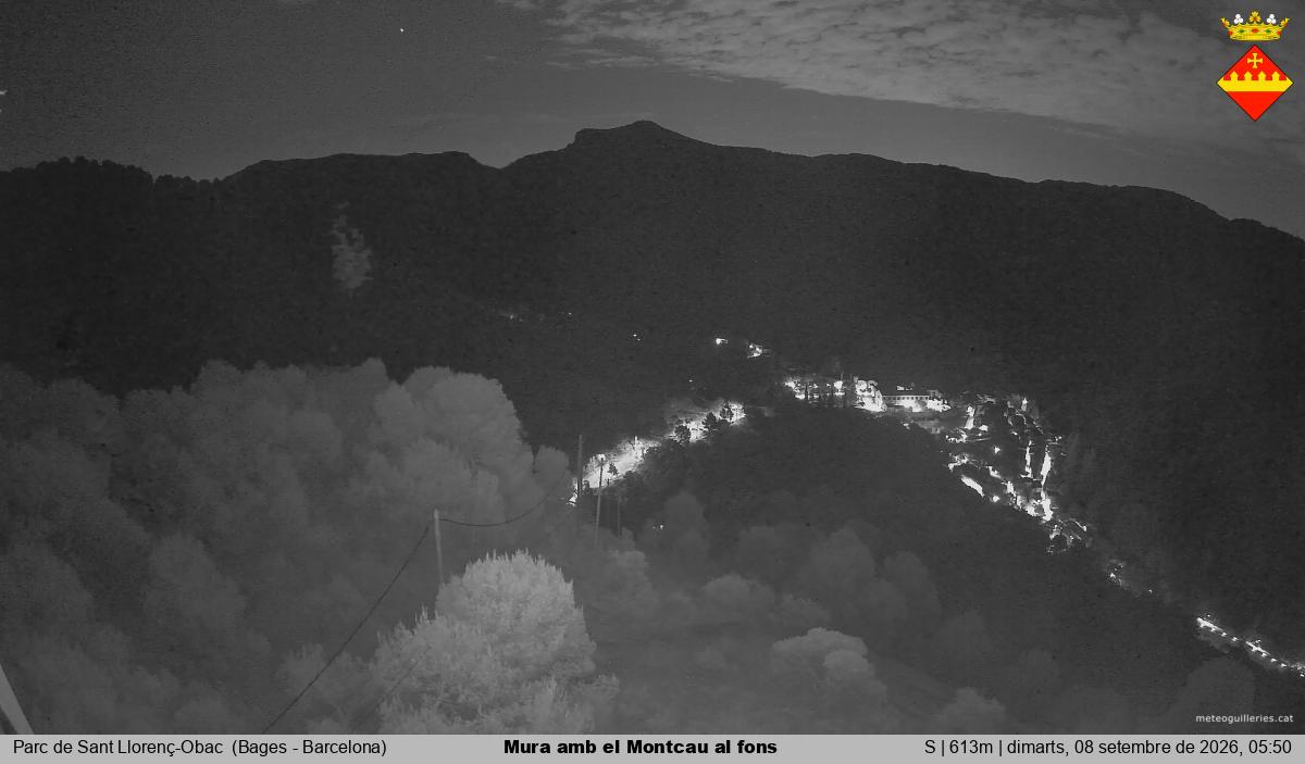 Mura amb el Montcau al fons