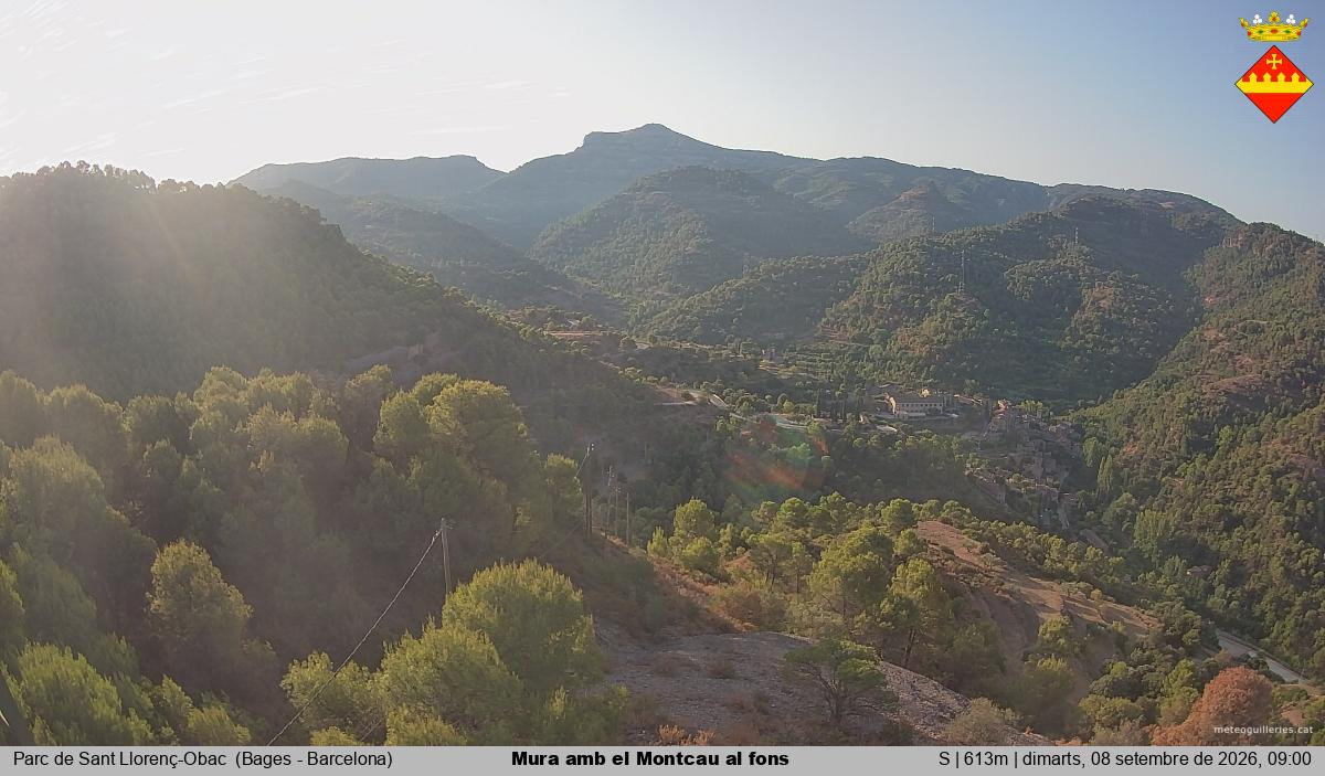 Mura amb el Montcau al fons