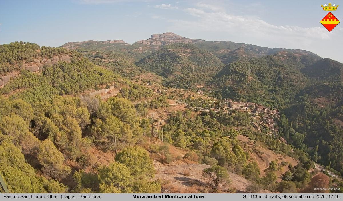 Mura amb el Montcau al fons