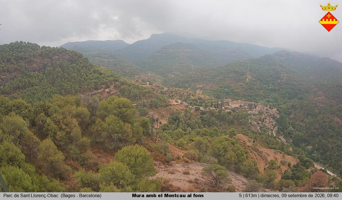 Mura amb el Montcau al fons