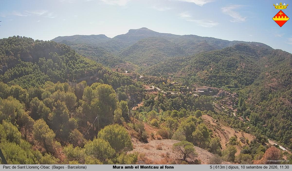 Mura amb el Montcau al fons