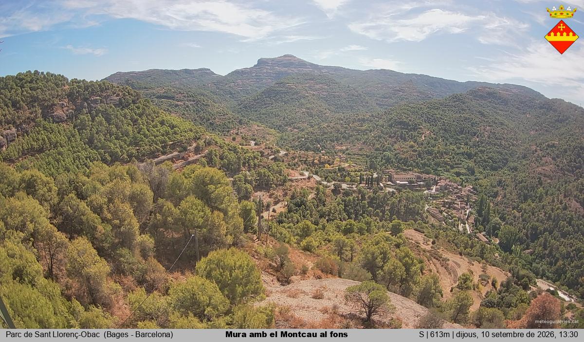 Mura amb el Montcau al fons