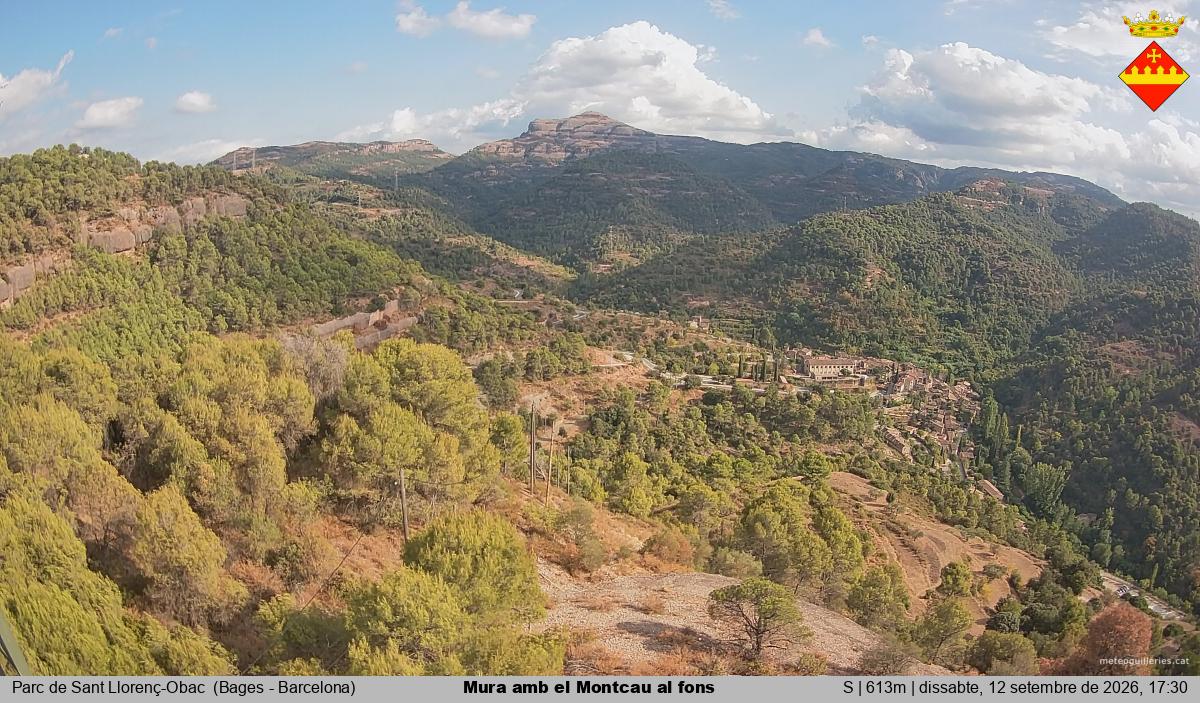 Mura amb el Montcau al fons