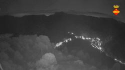 Webcams