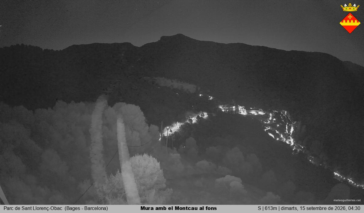 Mura amb el Montcau al fons