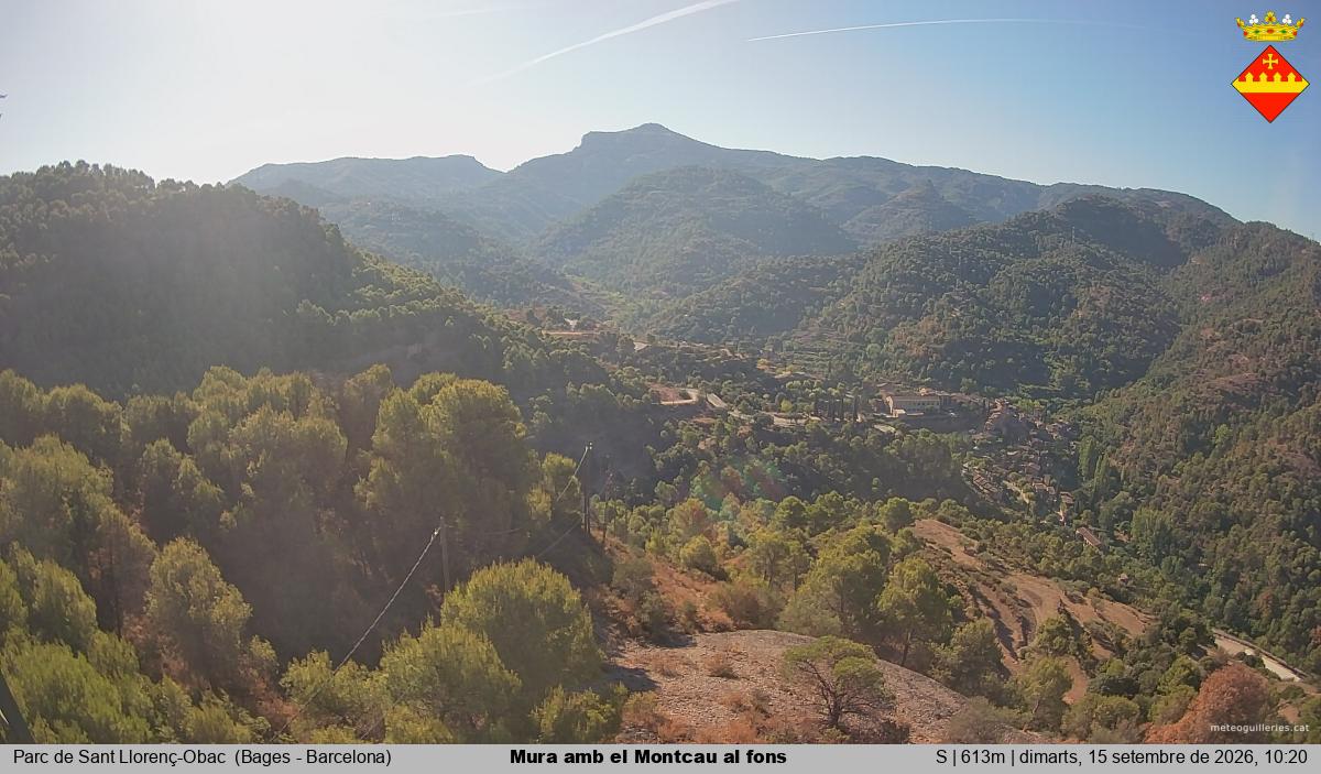 Mura amb el Montcau al fons