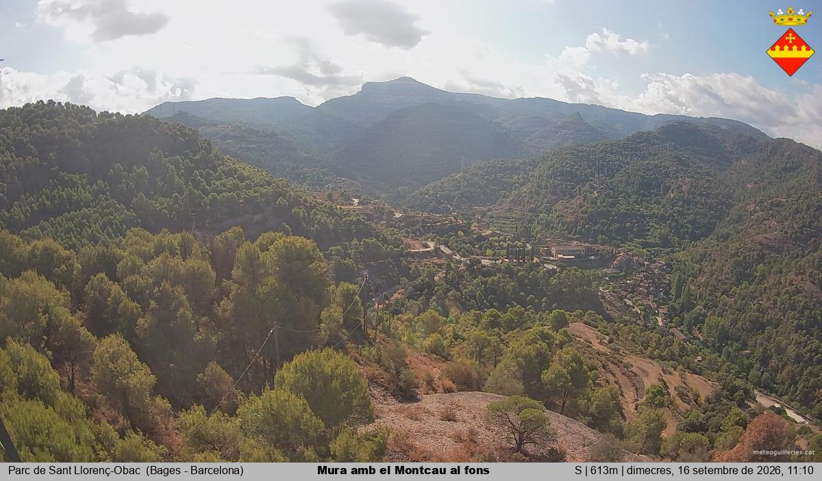 Mura amb el Montcau al fons