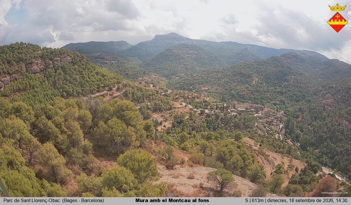 Mura amb el Montcau al fons
