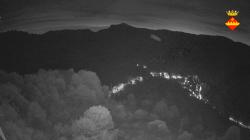 Webcams