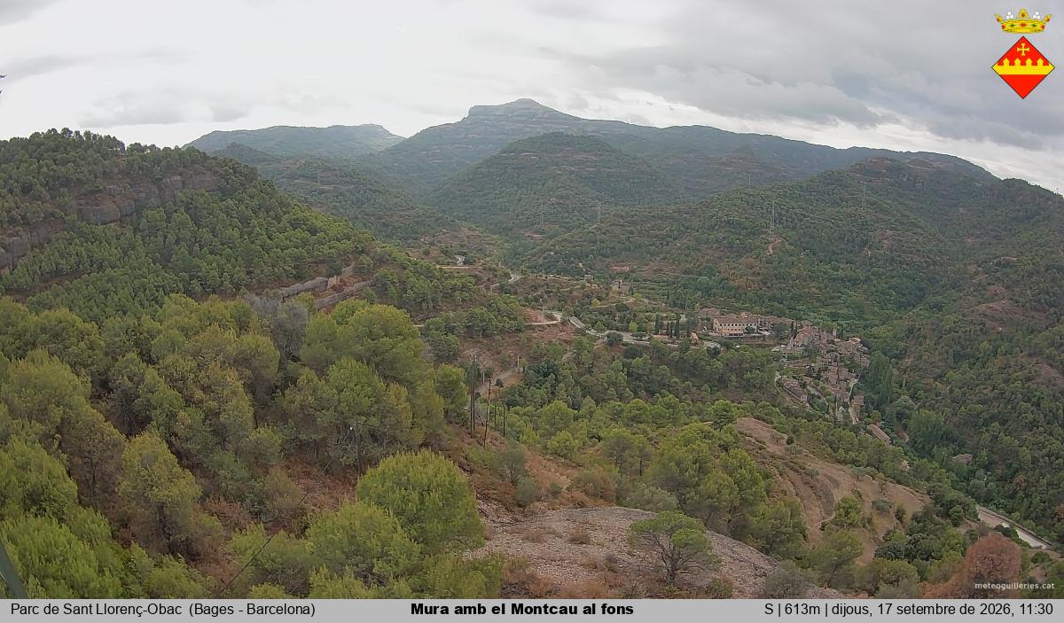 Mura amb el Montcau al fons