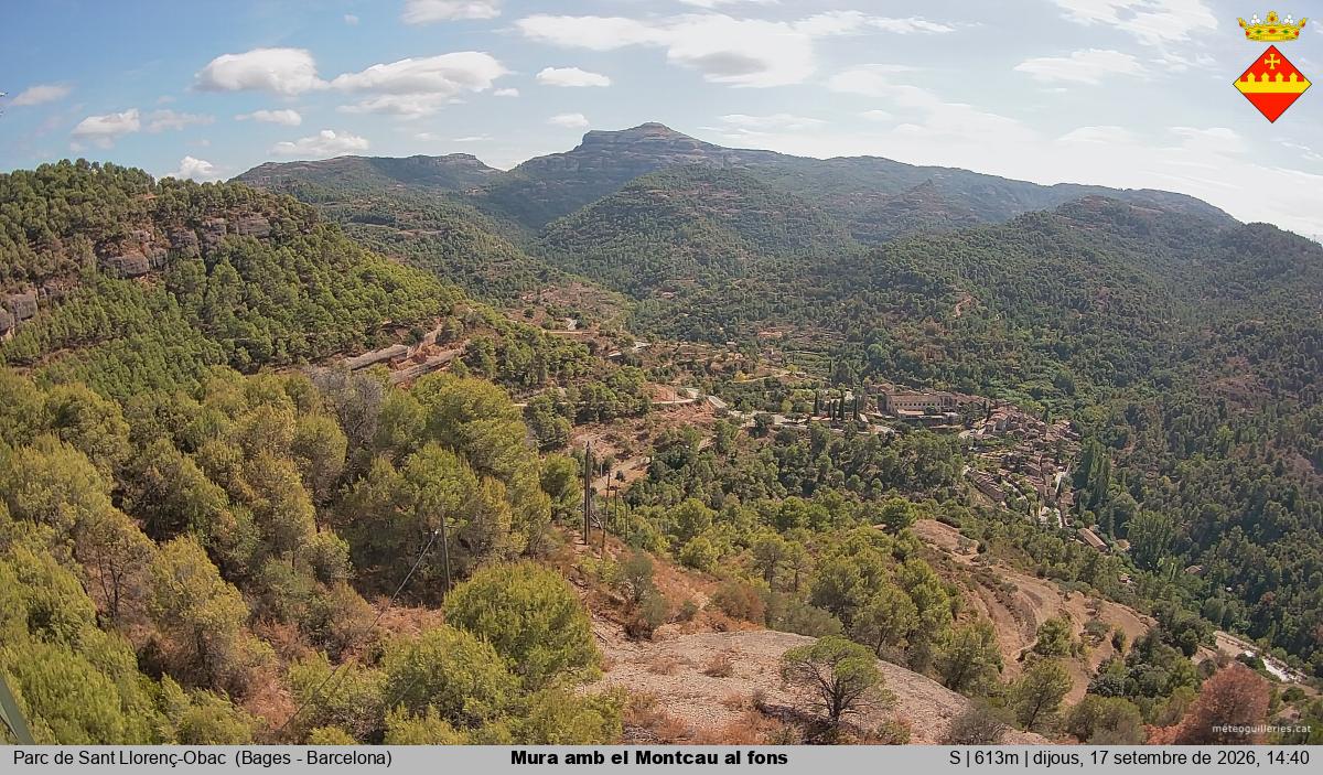 Mura amb el Montcau al fons