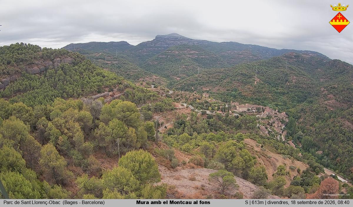 Mura amb el Montcau al fons