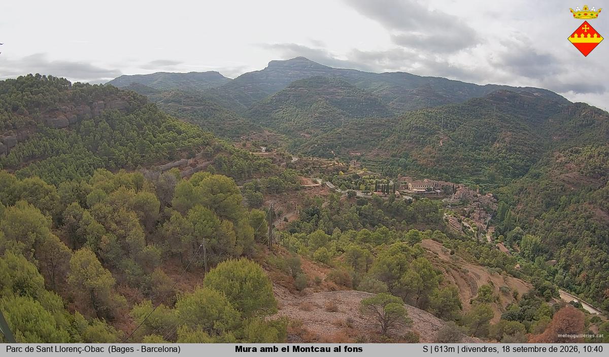 Mura amb el Montcau al fons