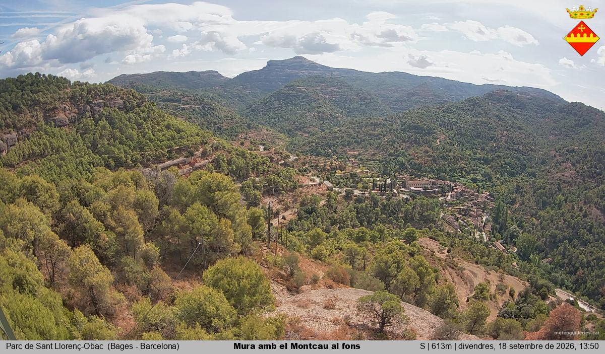 Mura amb el Montcau al fons