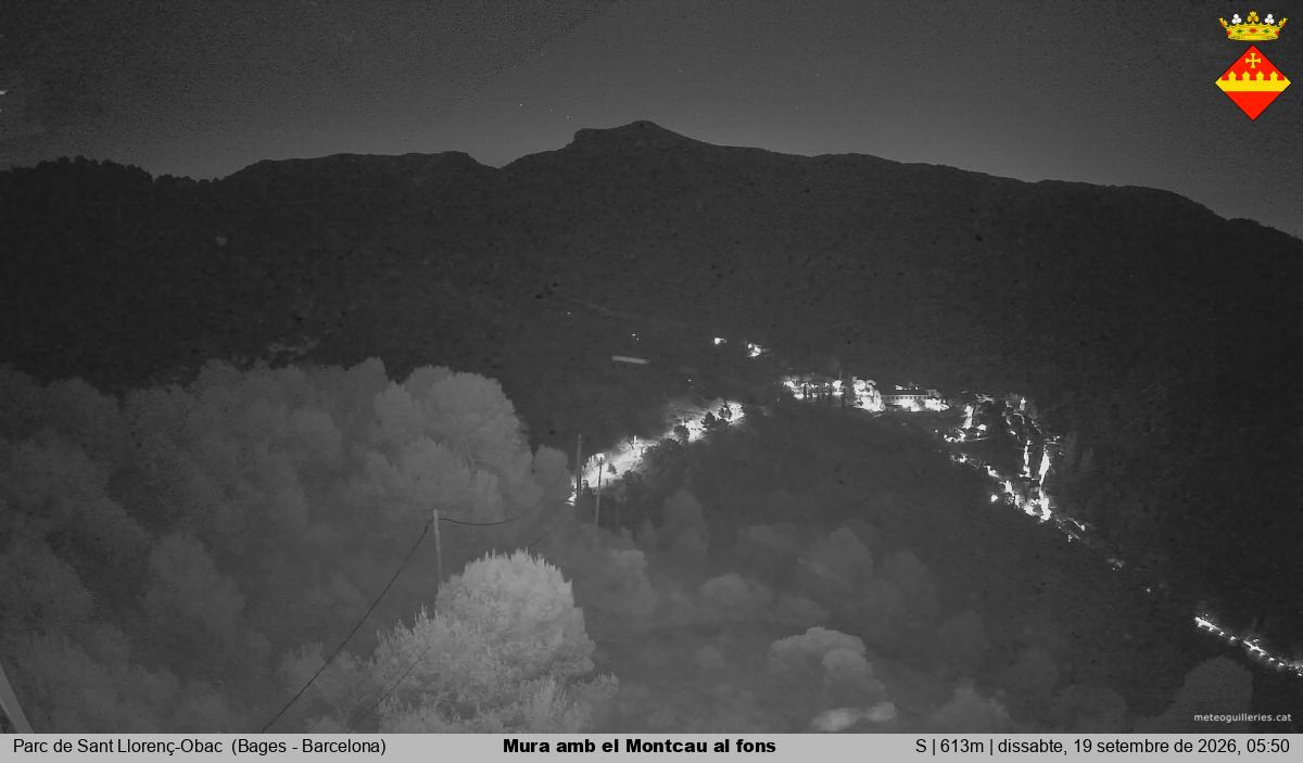 Mura amb el Montcau al fons