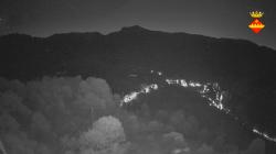 Webcams