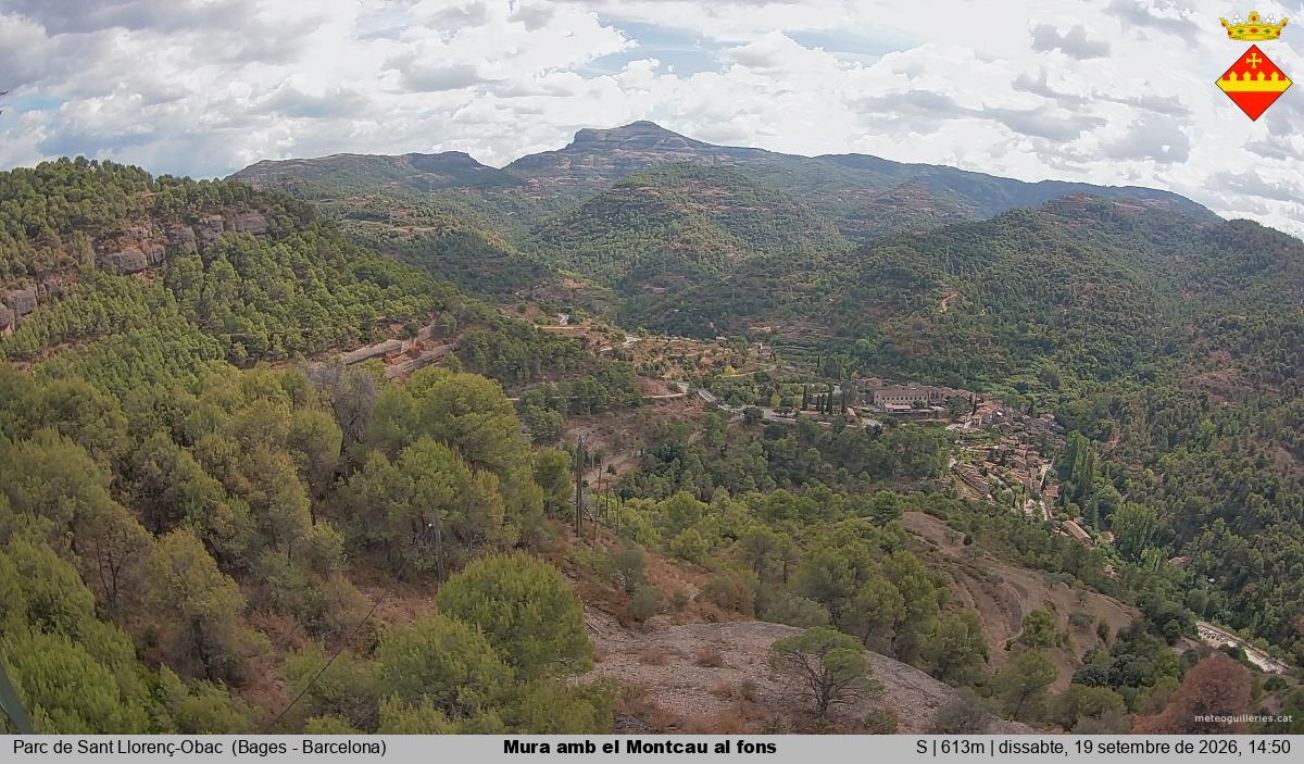 Mura amb el Montcau al fons