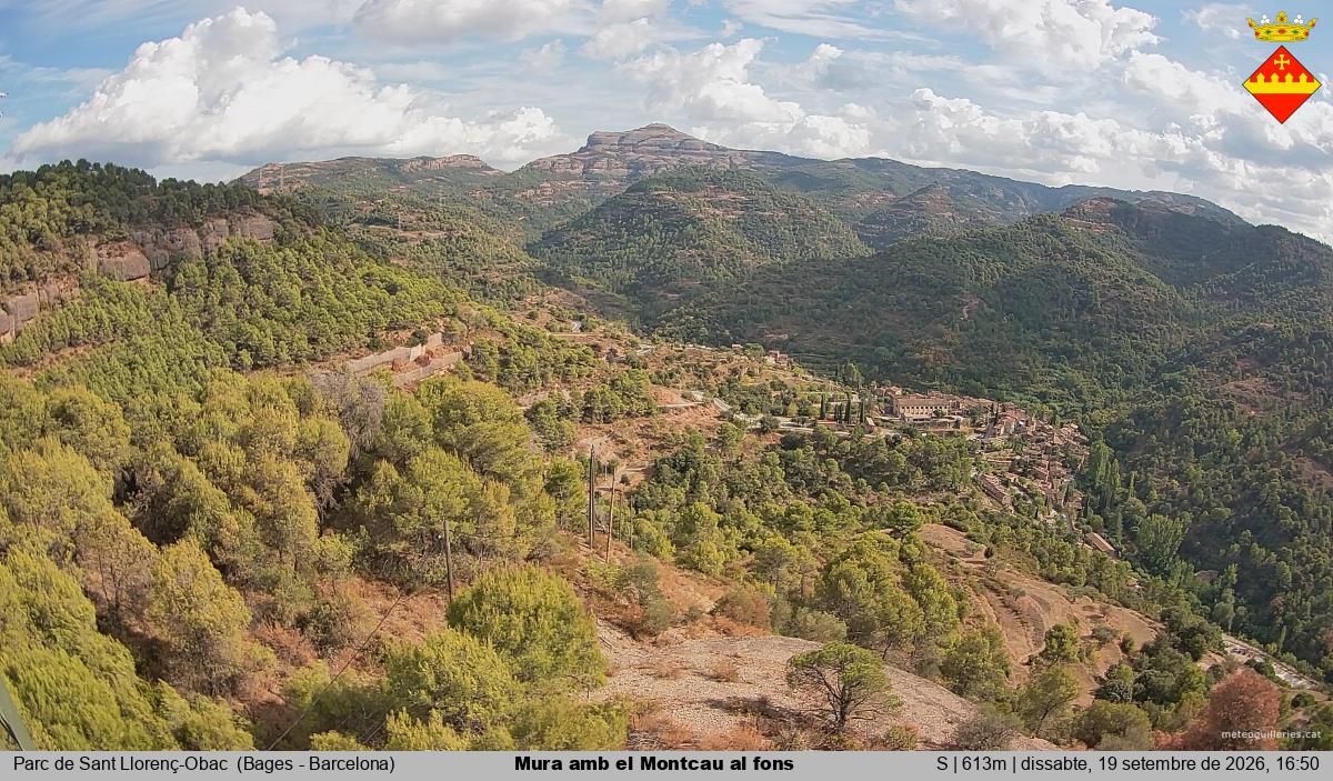 Mura amb el Montcau al fons