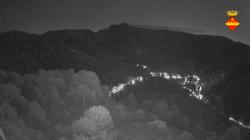Webcams