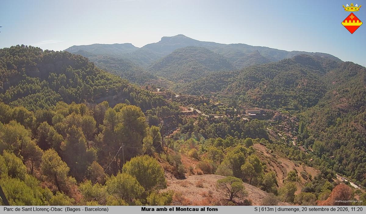 Mura amb el Montcau al fons