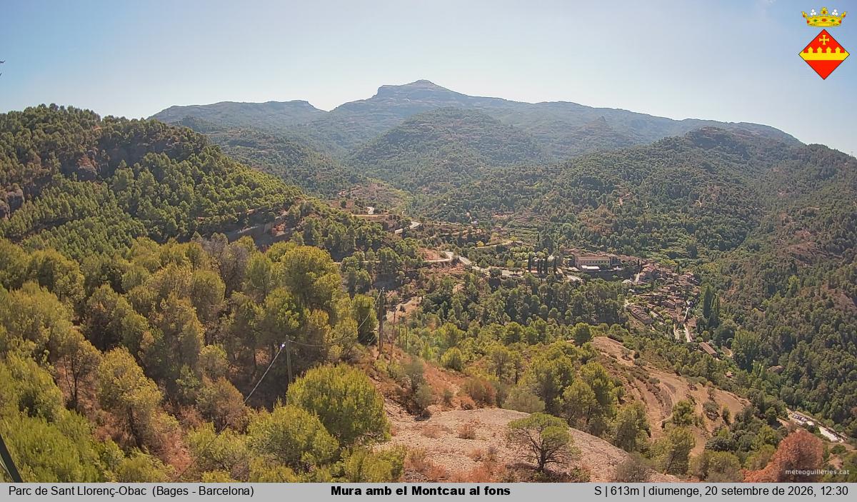 Mura amb el Montcau al fons