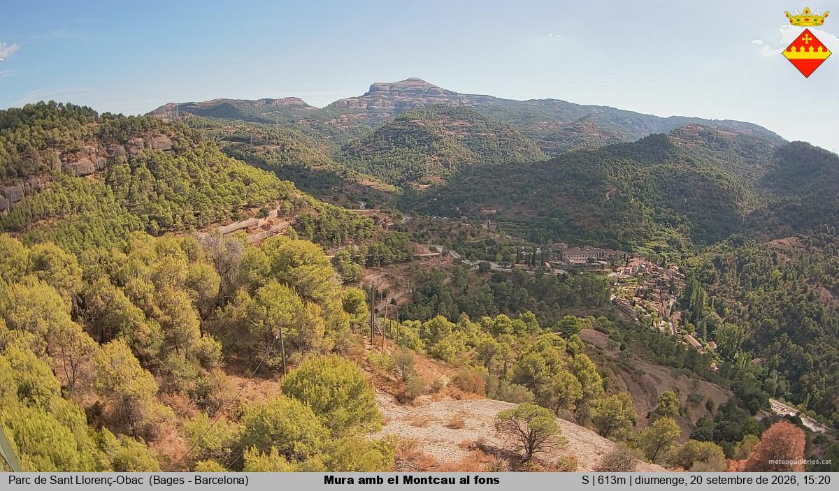 Mura amb el Montcau al fons