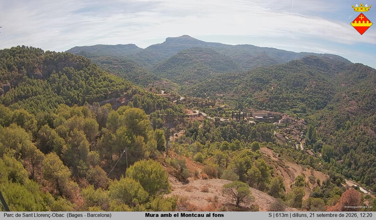 Mura amb el Montcau al fons