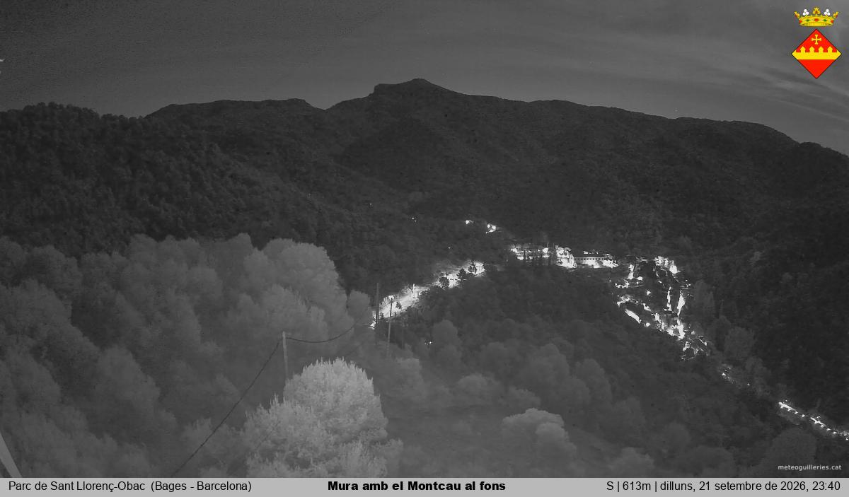 Mura amb el Montcau al fons