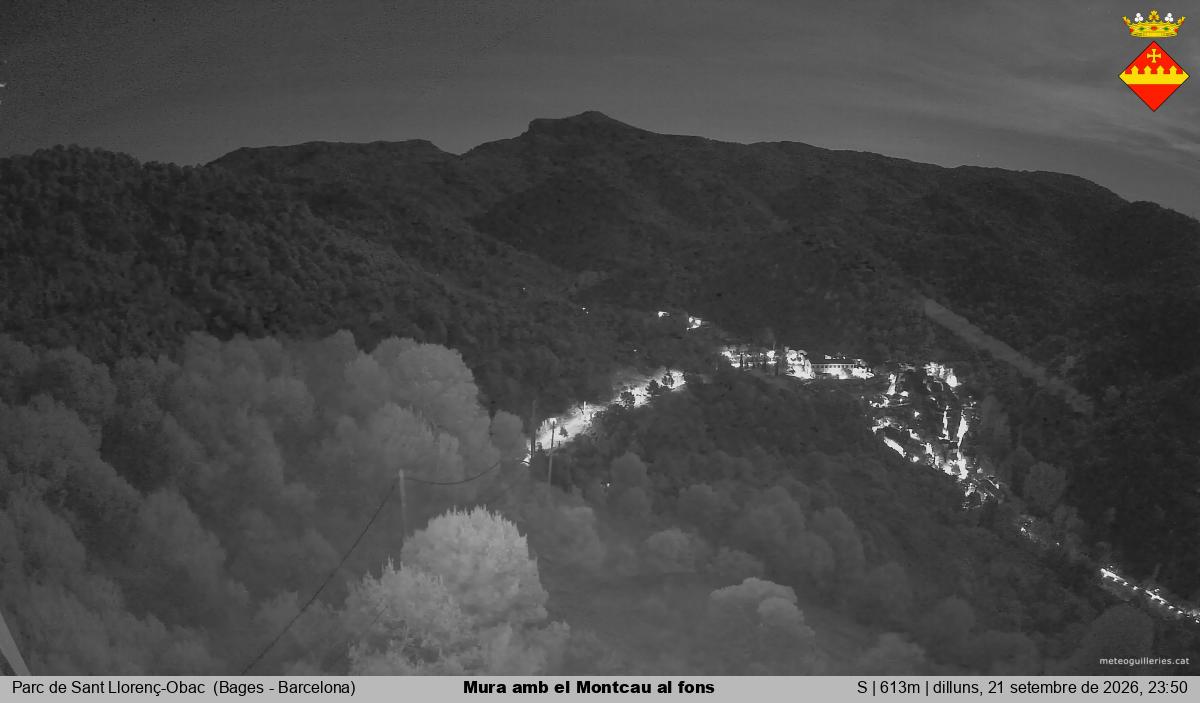 Mura amb el Montcau al fons