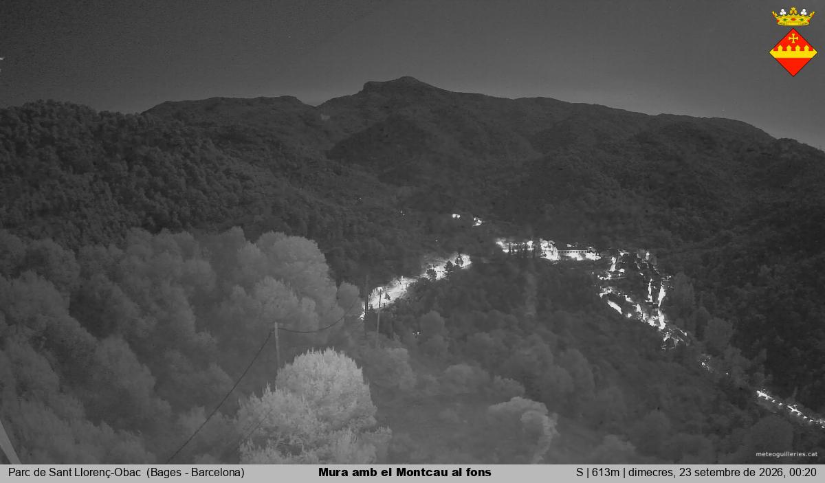 Mura amb el Montcau al fons