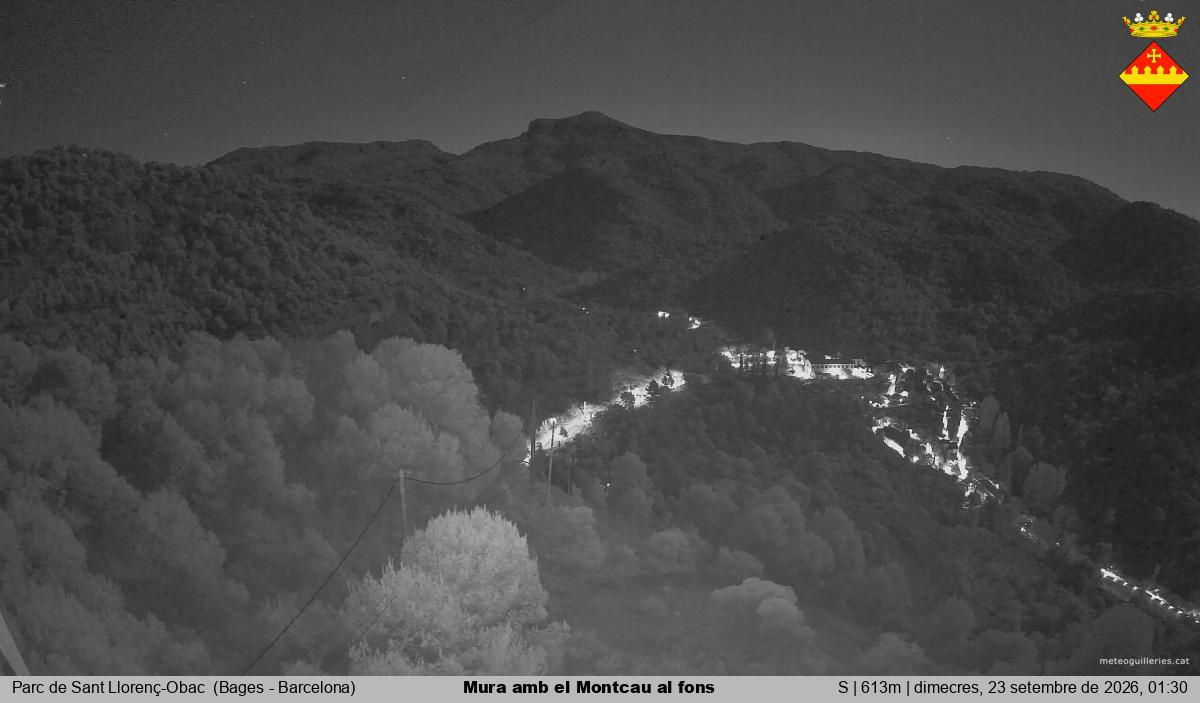 Mura amb el Montcau al fons