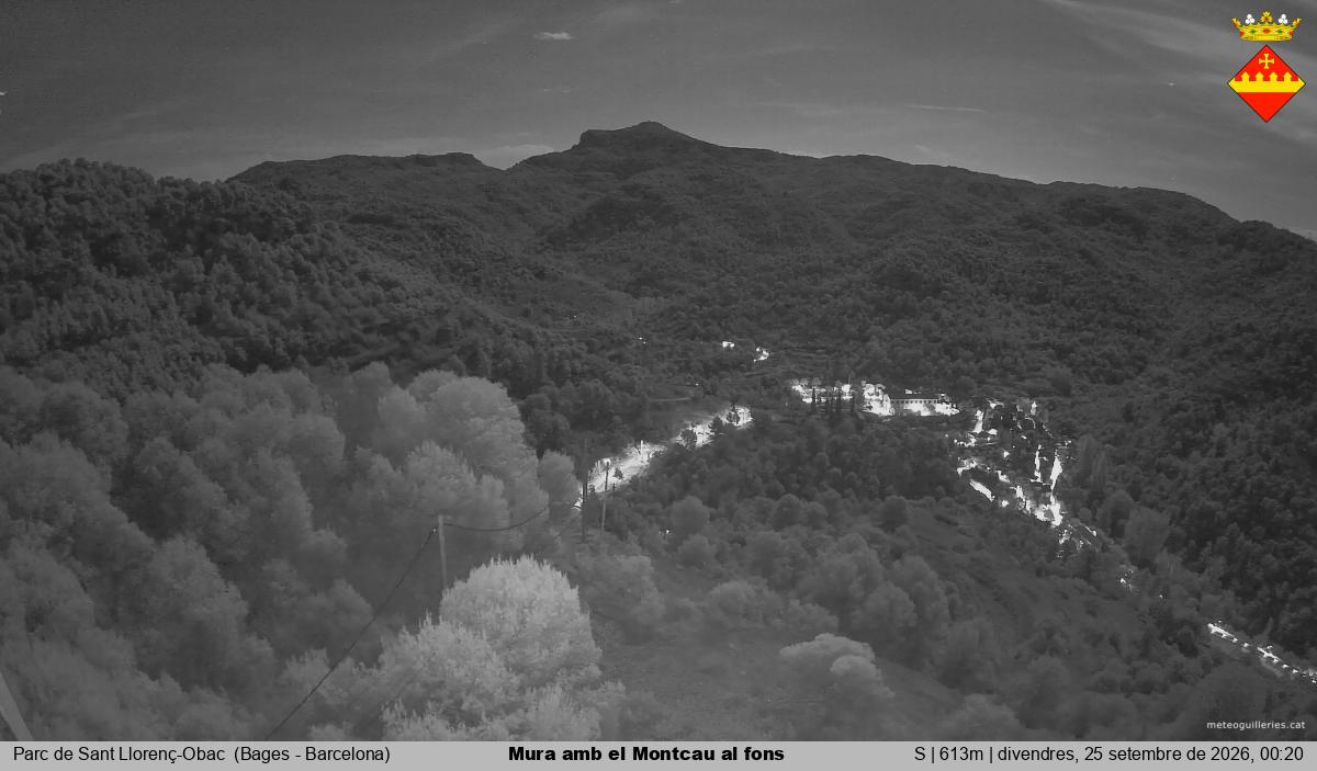 Mura amb el Montcau al fons