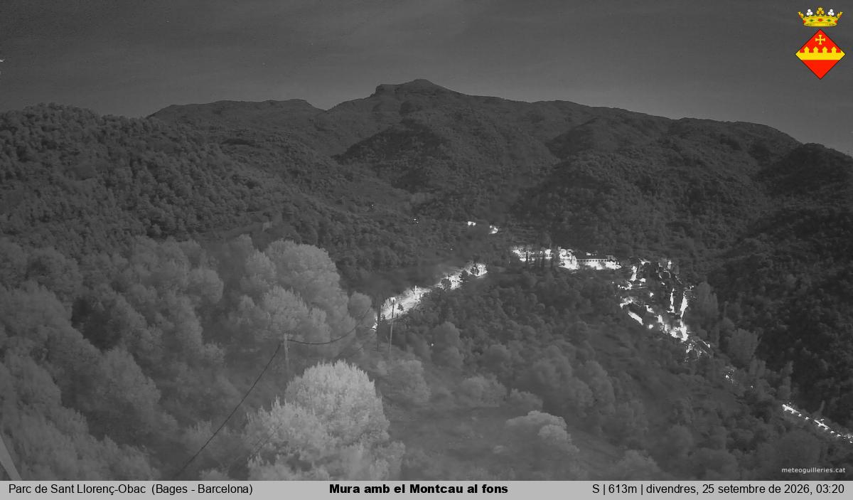 Mura amb el Montcau al fons