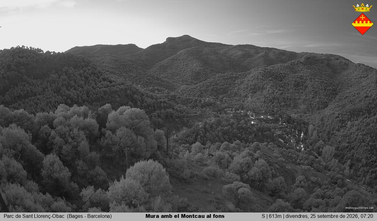 Mura amb el Montcau al fons