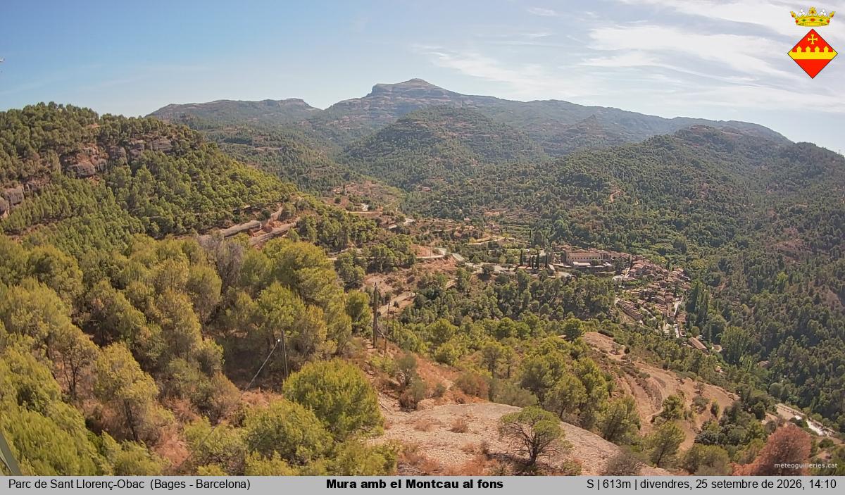 Mura amb el Montcau al fons