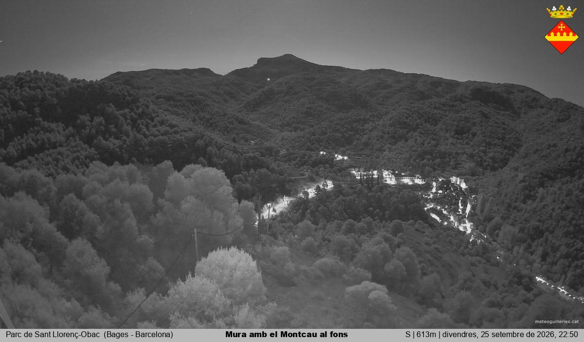 Mura amb el Montcau al fons