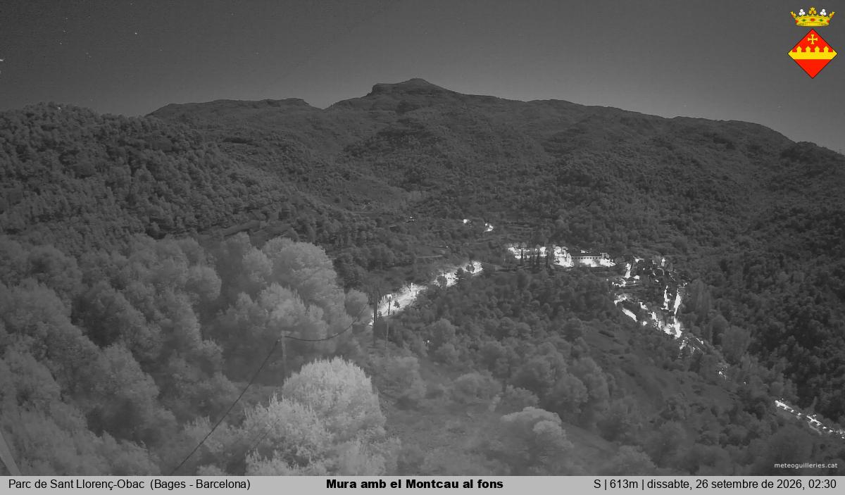 Mura amb el Montcau al fons