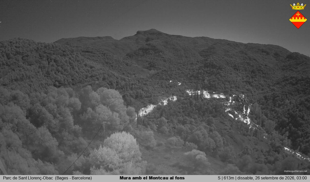 Mura amb el Montcau al fons