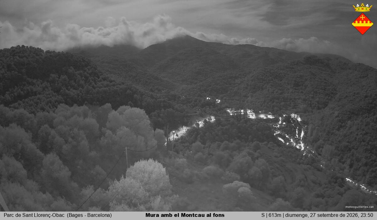 Mura amb el Montcau al fons