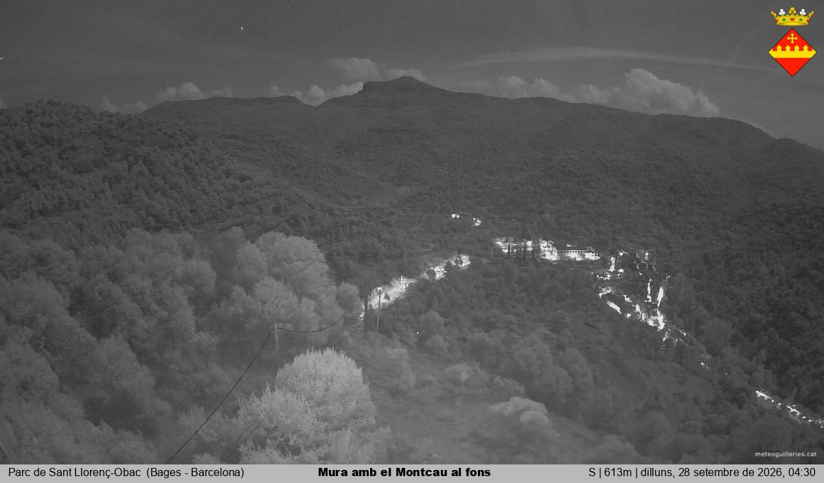 Mura amb el Montcau al fons