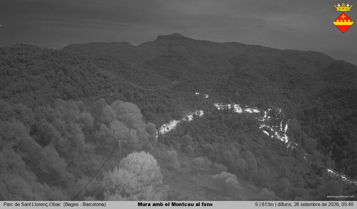 Mura amb el Montcau al fons