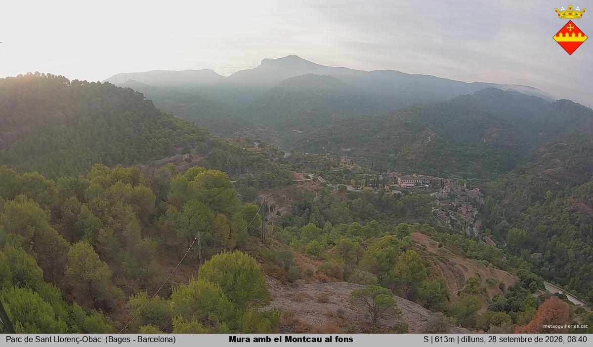 Mura amb el Montcau al fons